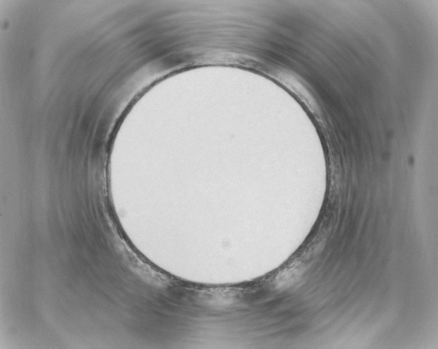 X0000059061000200511041724