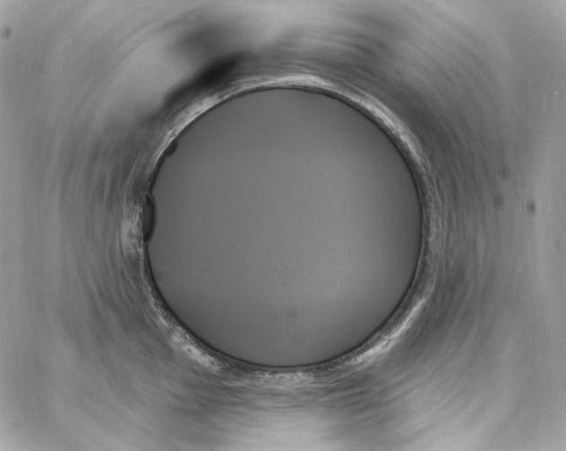 X0000059061001200511041724