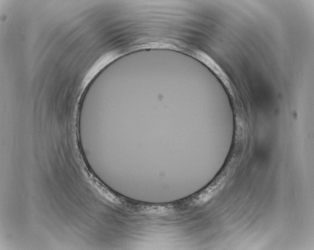 X0000059061002200511041724