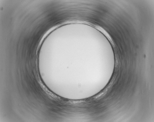 X0000059061004200511041723