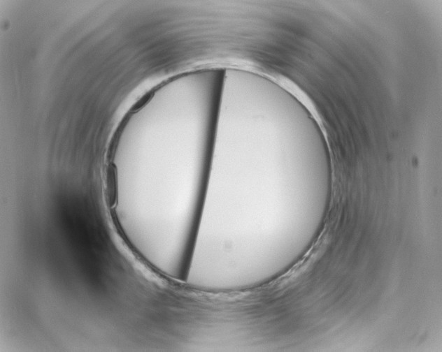 X0000059061005200511041723