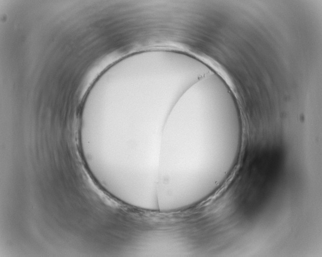 X0000059061006200511041723