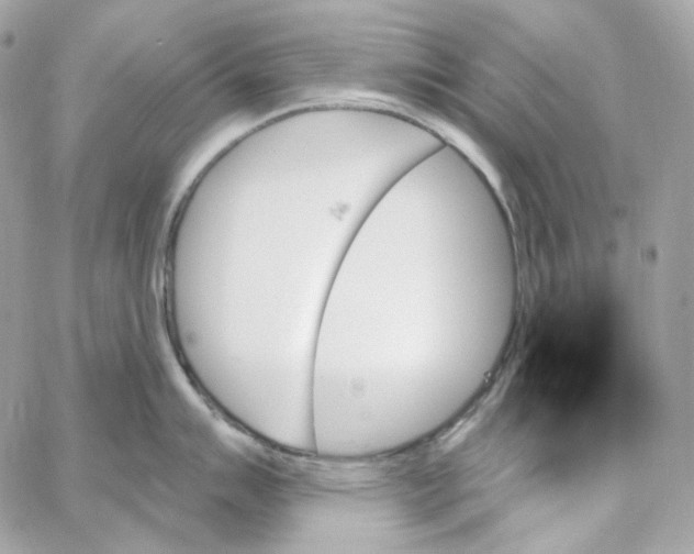 X0000059061007200511041723