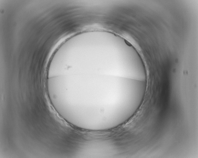 X0000059061008200511041723