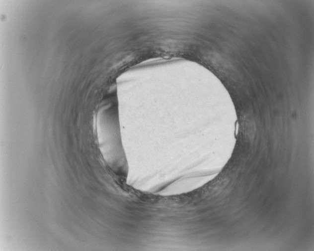 X0000059061009200511041723