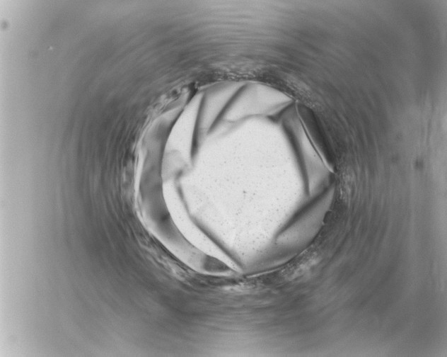 X0000059061010200511041723