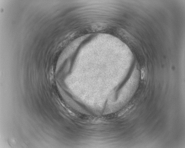 X0000059061011200511041723