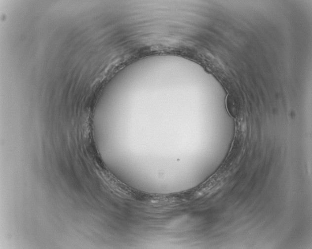 X0000059061012200511041723