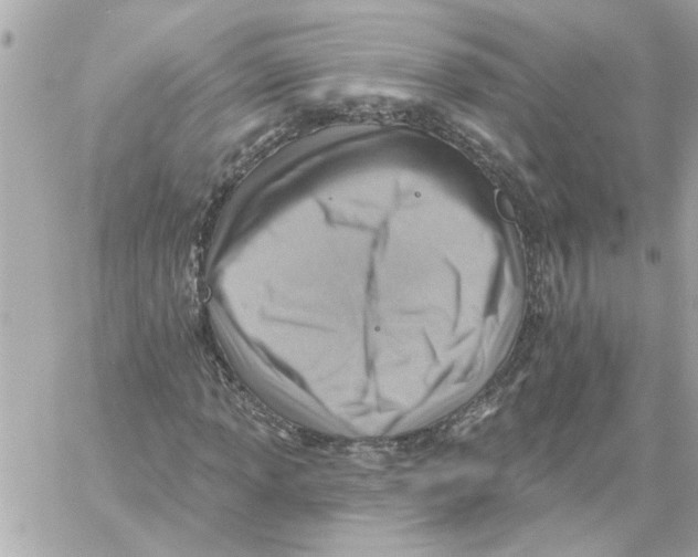 X0000059061013200511041723