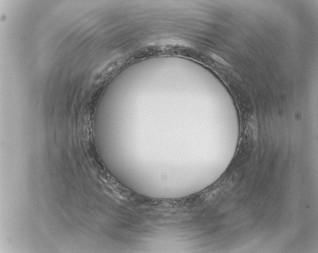 X0000059061014200511041723