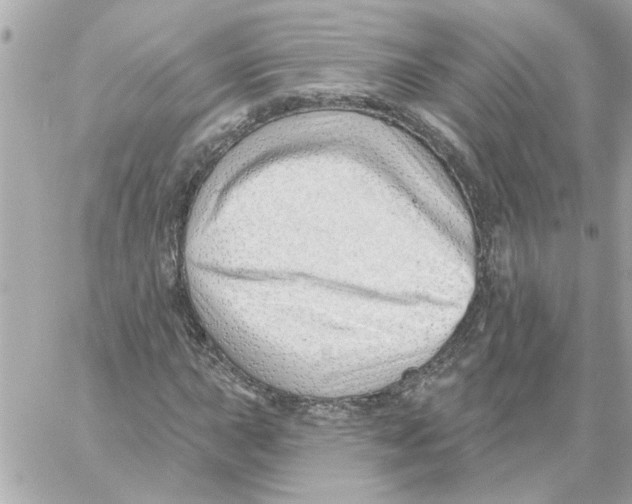 X0000059061015200511041723