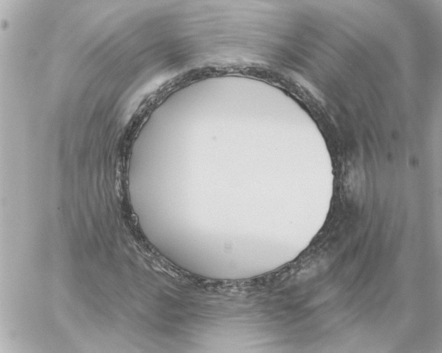 X0000059061016200511041723