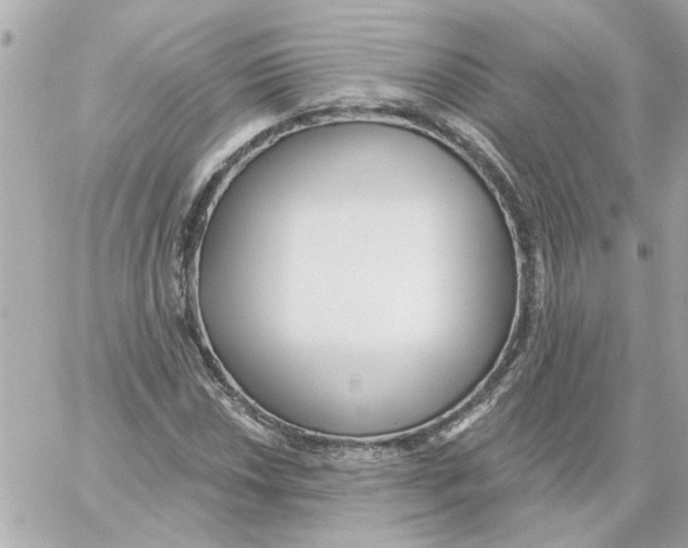 X0000059061018200511041723