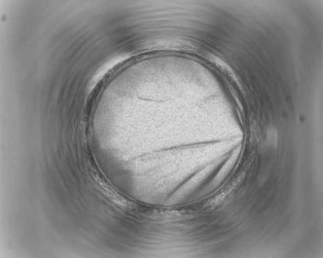 X0000059061019200511041723