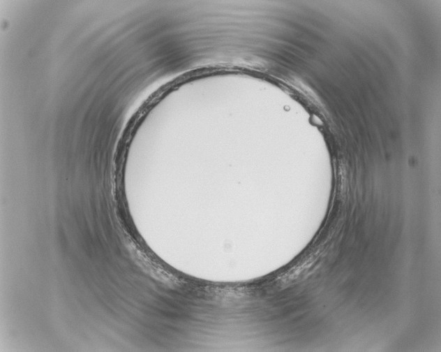 X0000059061020200511041723