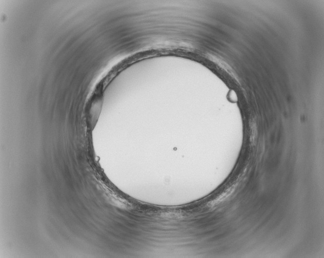 X0000059061021200511041723