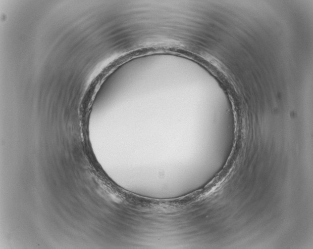 X0000059061022200511041723