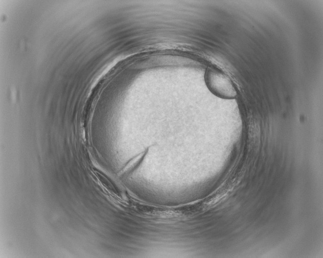 X0000059061023200511041723