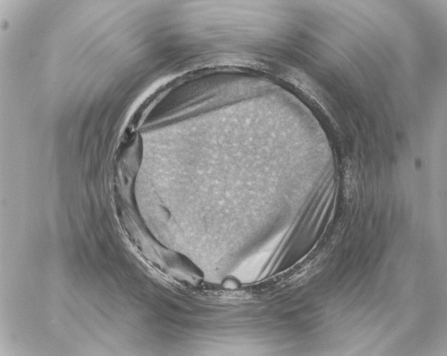 X0000059061024200511041723