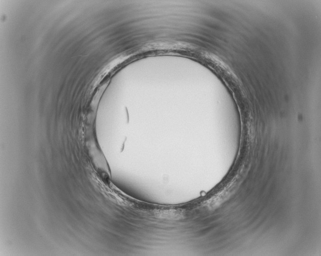 X0000059061025200511041723