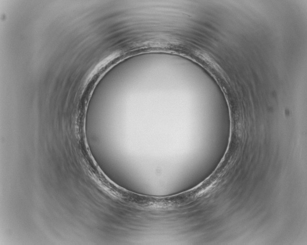 X0000059061026200511041723