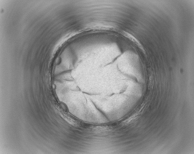 X0000059061027200511041723