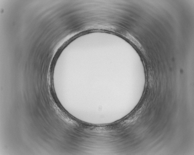 X0000059061028200511041723