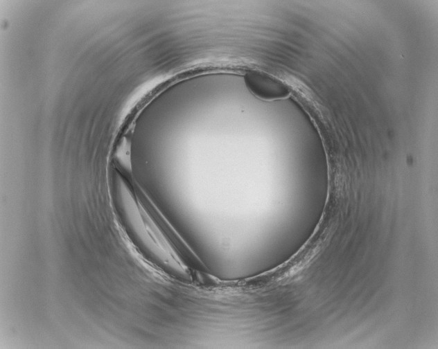 X0000059061030200511041723