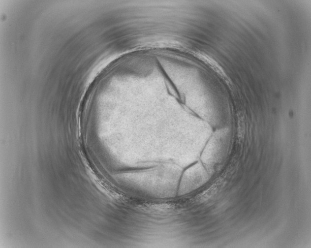 X0000059061031200511041723