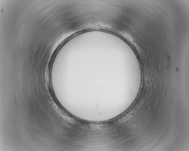 X0000059061032200511041723