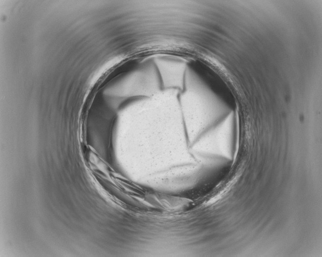 X0000059061034200511041723