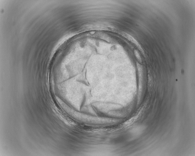 X0000059061035200511041723