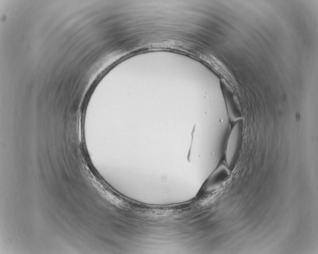 X0000059061036200511041723