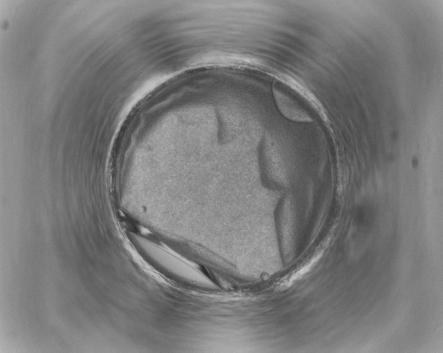 X0000059061037200511041723