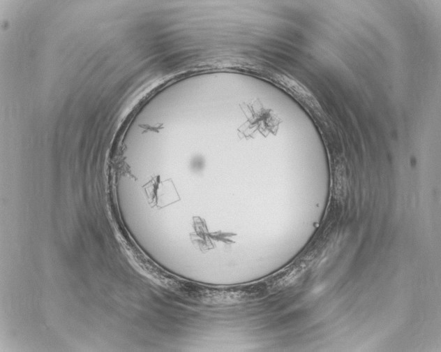 X0000059061039200511041723