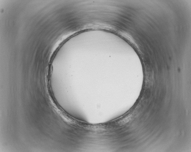 X0000059061040200511041723