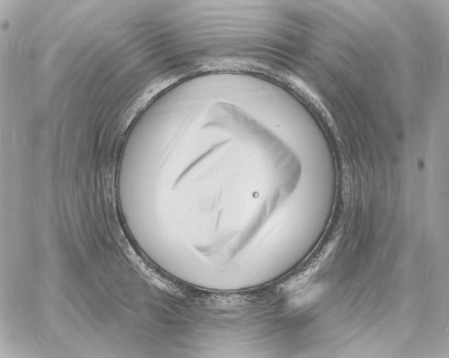 X0000059061041200511041723