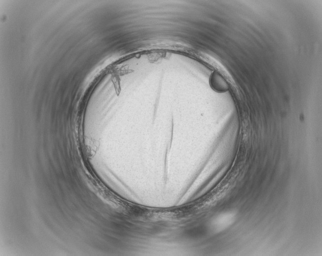 X0000059061043200511041723