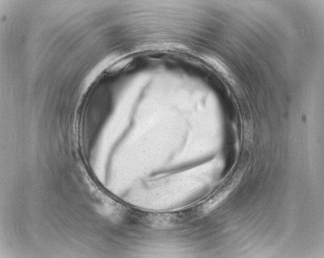 X0000059061046200511041723