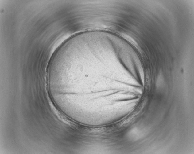 X0000059061047200511041723