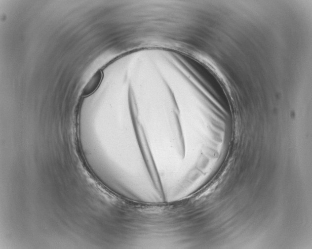 X0000059061048200511041723