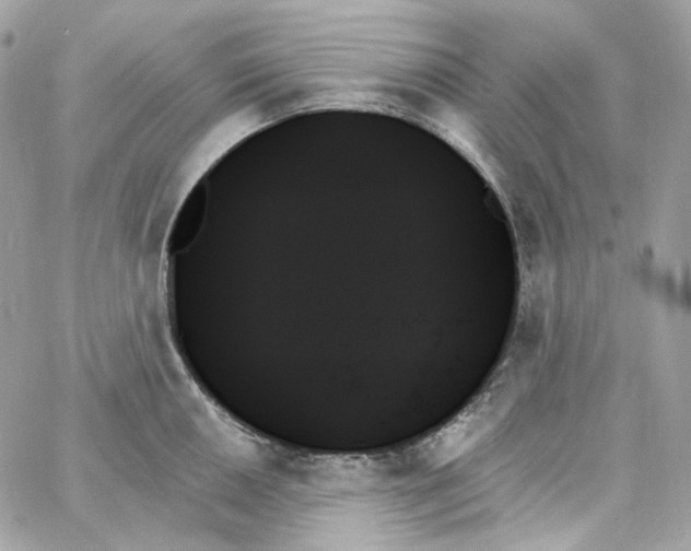 X0000059061050200511041723