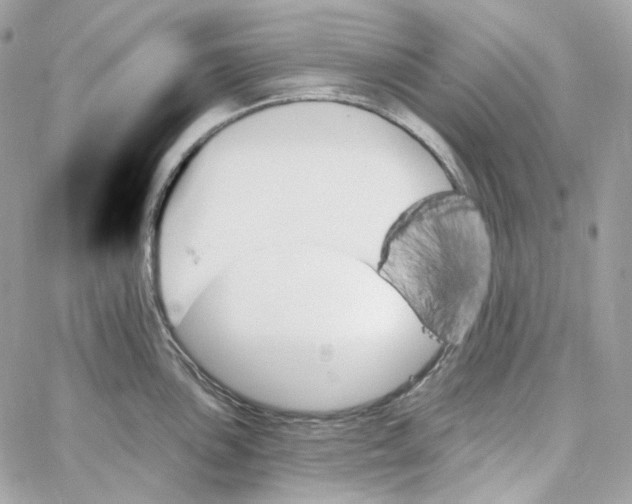 X0000059061051200511041723