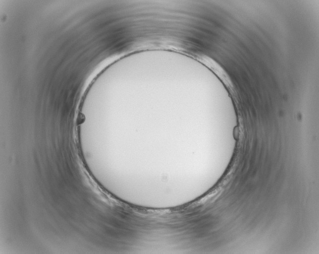 X0000059061052200511041723