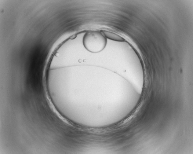 X0000059061053200511041723