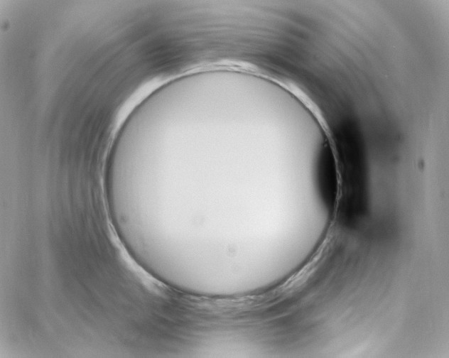 X0000059061054200511041723