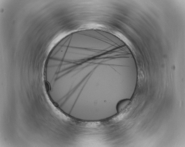 X0000059061055200511041723