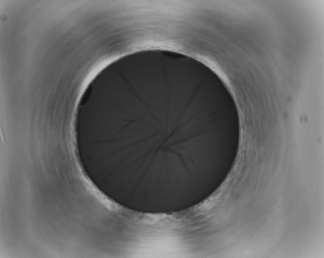 X0000059061056200511041723