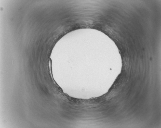 X0000059061057200511041723