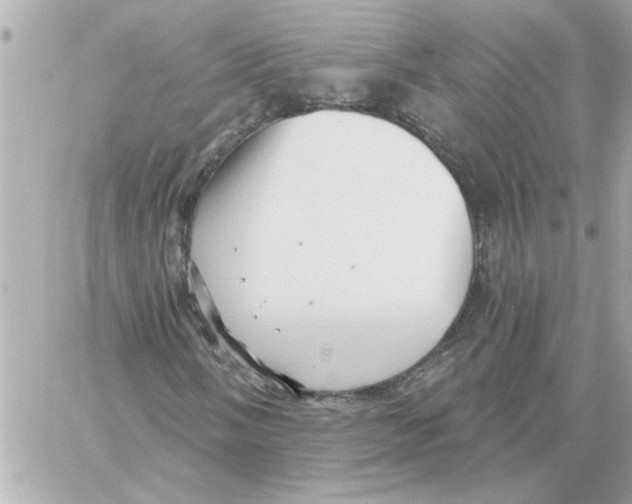 X0000059061058200511041723